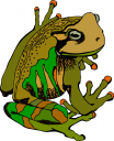 Frog Clipart