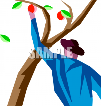 Apple Clipart