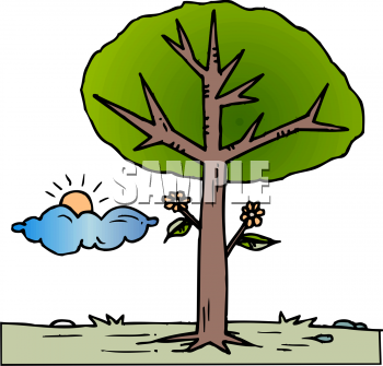 Cloud Clipart