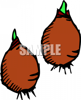 Vegetables Clipart