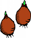 Vegetables Clipart