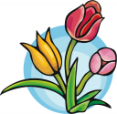 Tulip Clipart