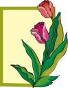 Tulip Clipart