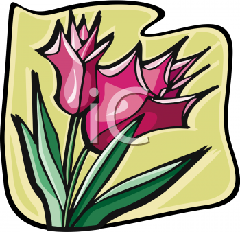 Tulip Clipart