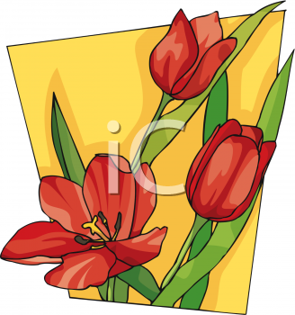 Tulip Clipart