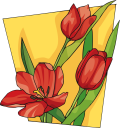 Tulip Clipart