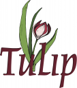 Tulip Clipart