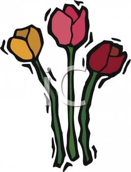 Tulip Clipart