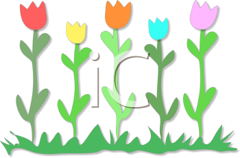 Tulip Clipart