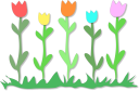 Tulip Clipart