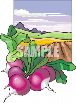 Produce Clipart