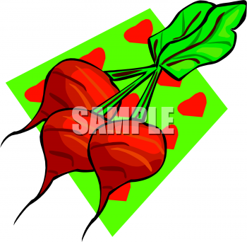 Turnip Clipart