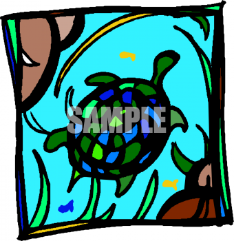 Turtle Clipart