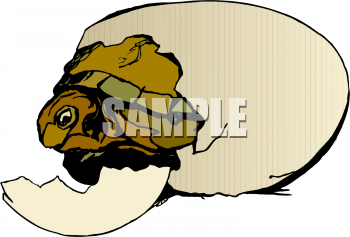 Tortoise Clipart