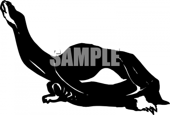 Turtle Clipart