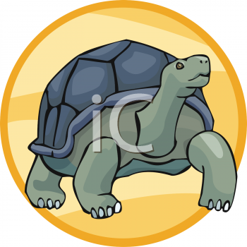 Tortoise Clipart