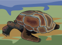 Tortoise Clipart