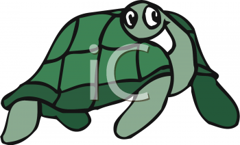 Tortoise Clipart