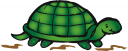 Tortoise Clipart