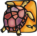 Tortoise Clipart