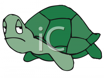 Tortoise Clipart