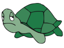 Tortoise Clipart