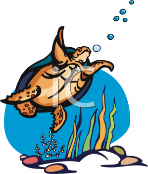 Tortoise Clipart