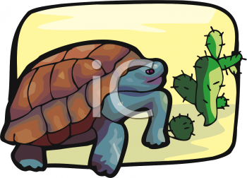 Turtle Clipart