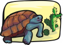 Turtle Clipart