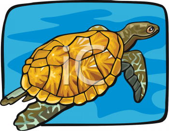 Tortoise Clipart