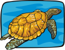 Tortoise Clipart