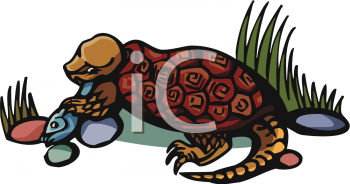 Turtle Clipart