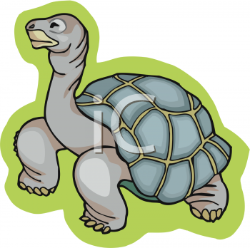 Tortoise Clipart