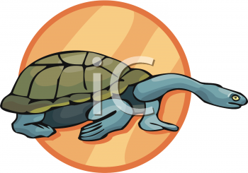 Tortoise Clipart