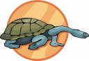 Tortoise Clipart