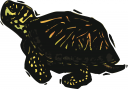 Tortoise Clipart