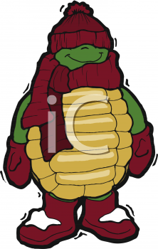 Tortoise Clipart