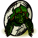 Tortoise Clipart