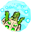 Tortoise Clipart