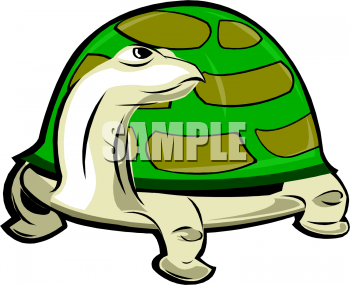 Tortoise Clipart