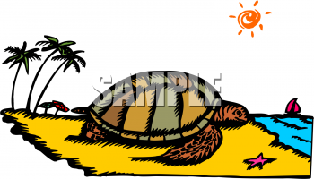 Tortoise Clipart