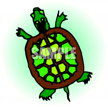 Tortoise Clipart