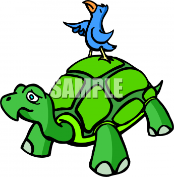 Tortoise Clipart