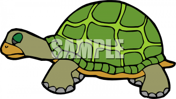 Tortoise Clipart