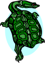 Tortoise Clipart