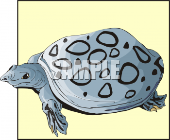 Tortoise Clipart