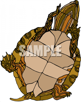 Tortoise Clipart