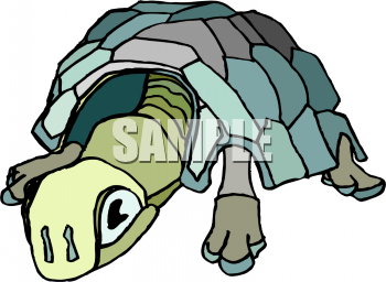 Tortoise Clipart