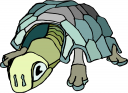 Tortoise Clipart