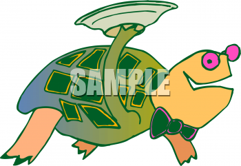 Tortoise Clipart